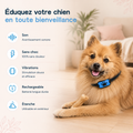 Collier anti-aboiement sans douleur