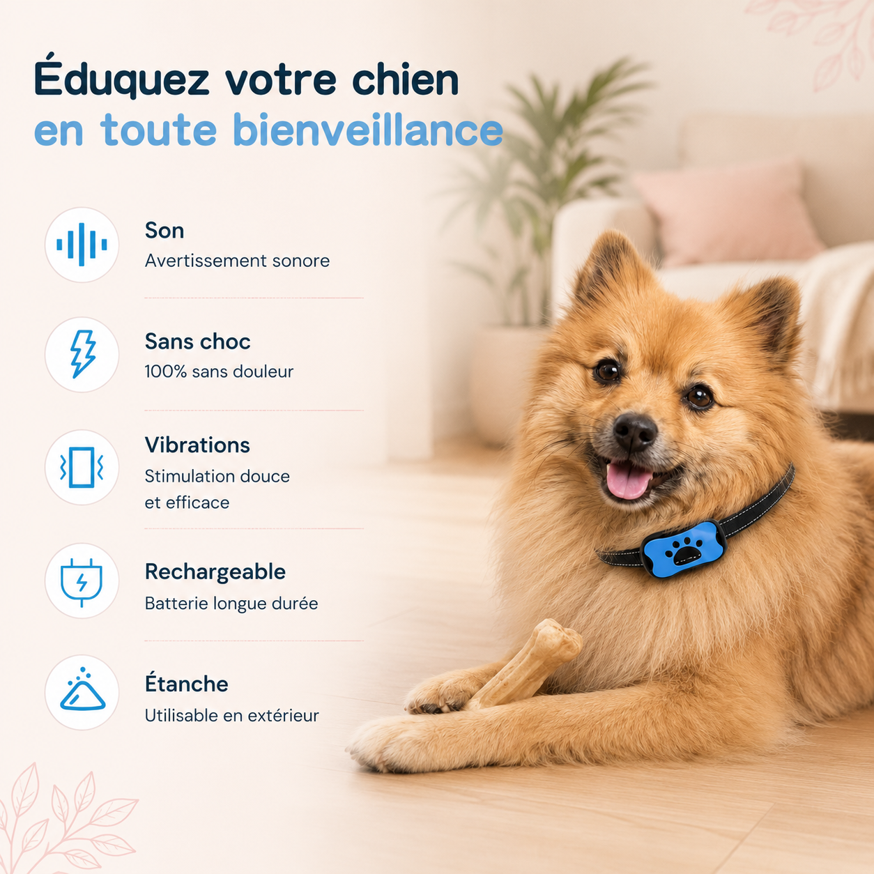 Collier anti-aboiement sans douleur