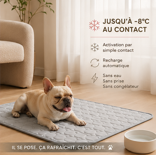 Tapis Rafraîchissant pour Chien & Chat – Coussin de Glace Extra Large