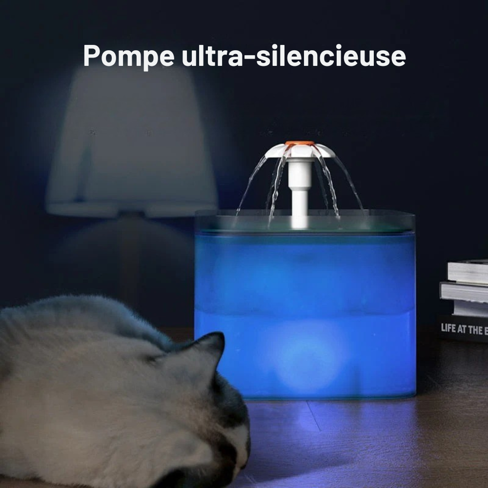 Fontaine à eau pour Chien et Chat